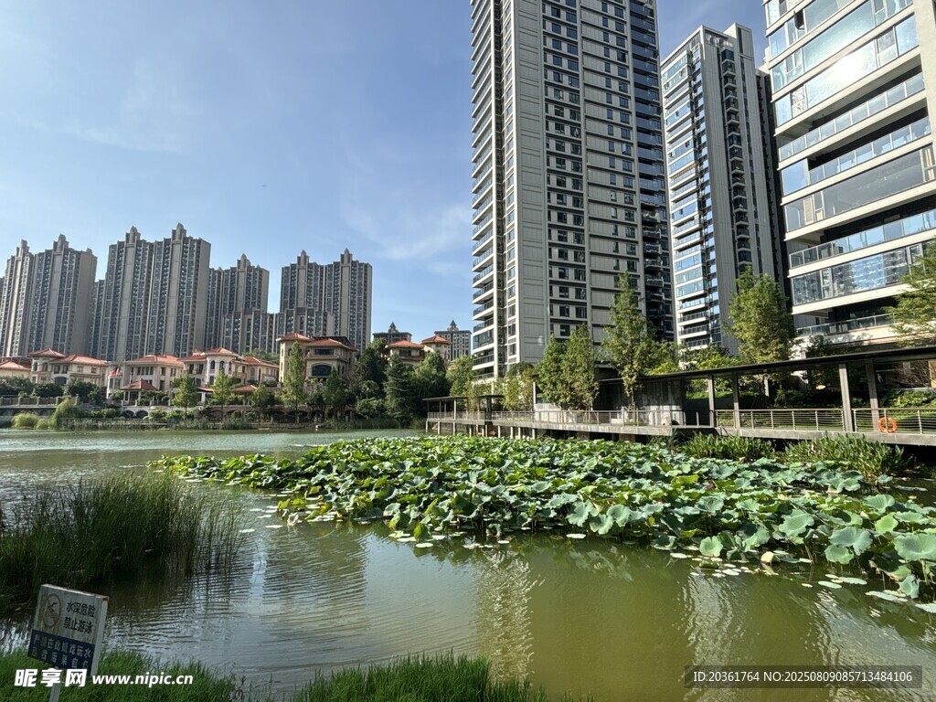 城市湖畔高樓景觀