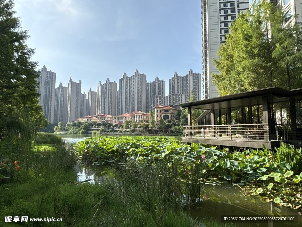 城市中的河畔綠意景觀