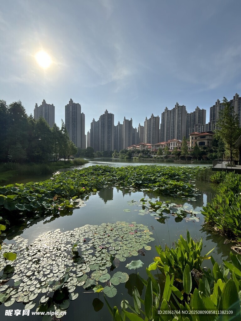 城市湖畔風(fēng)光