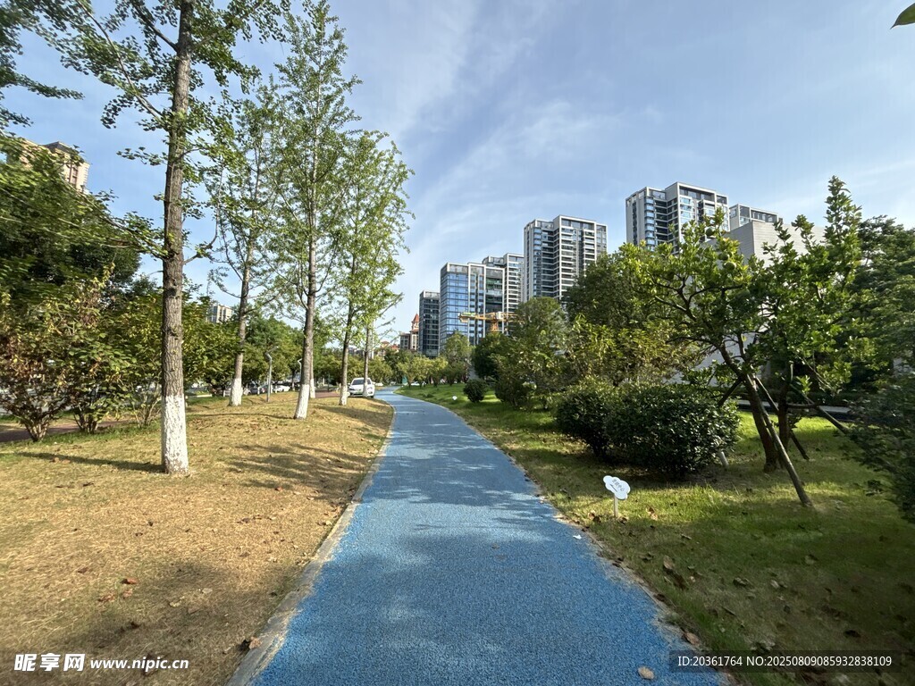 城市中的清新林蔭步道