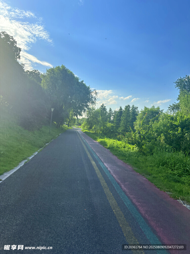 陽(yáng)光照耀下的多彩林間公路