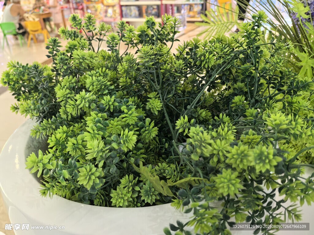 仿真盆栽綠植清新綠意滿(mǎn)滿(mǎn)