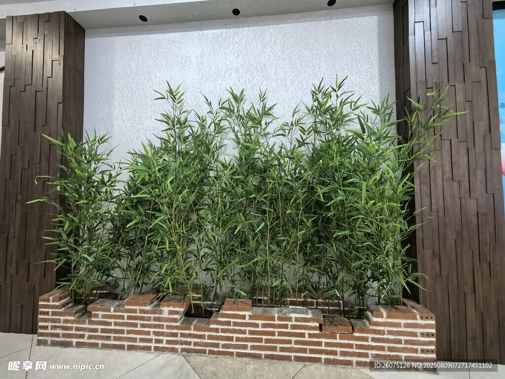 墻邊仿真竹子綠植裝點(diǎn)古樸景致