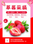 草莓采摘宣傳海報(bào)