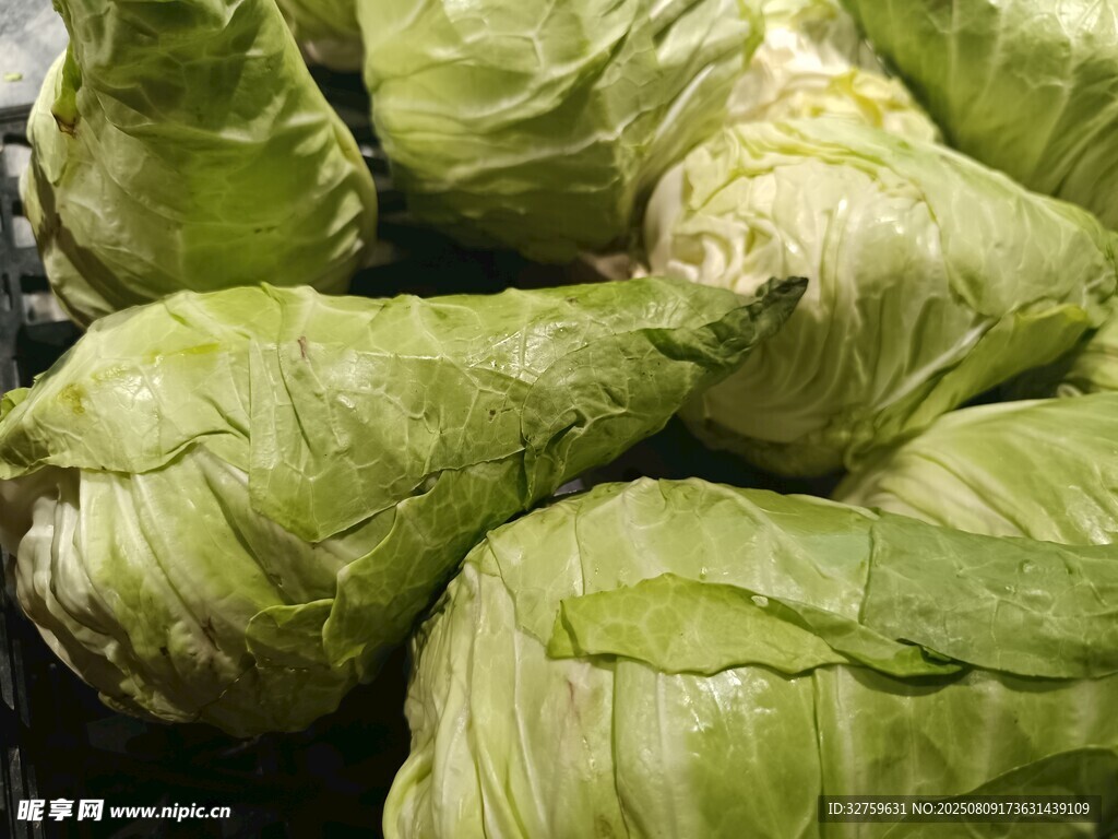 新鮮卷心菜堆疊