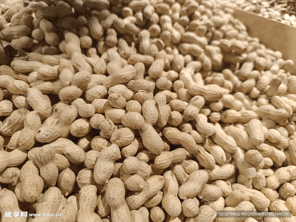 飽滿花生堆