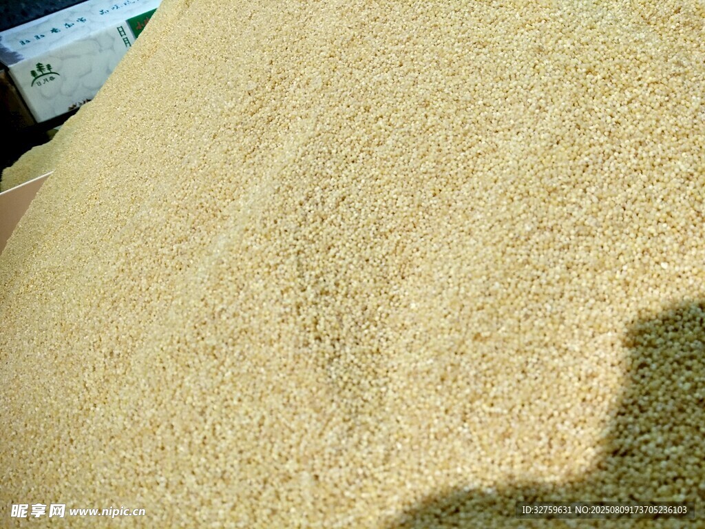 金黃飽滿的谷物堆