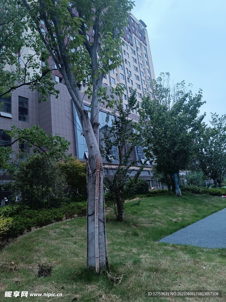 小區(qū)內(nèi)綠意盎然的景觀