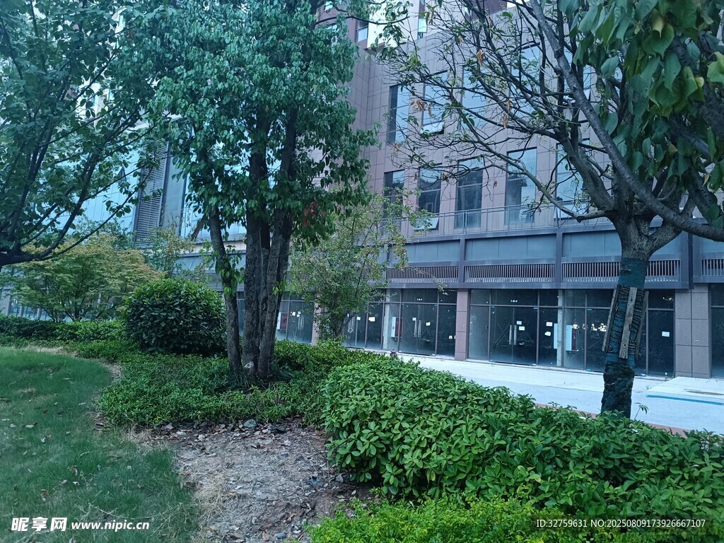 城市中靜謐的綠植與建筑