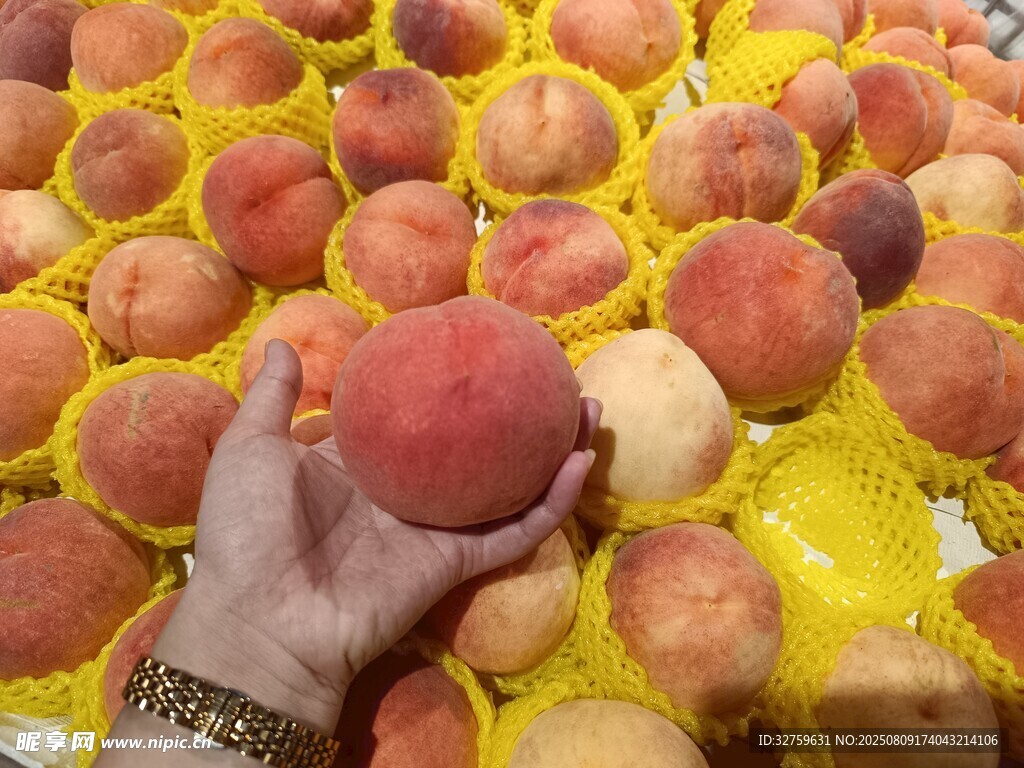 手捧鮮桃