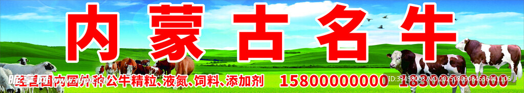 內(nèi)蒙古名牛