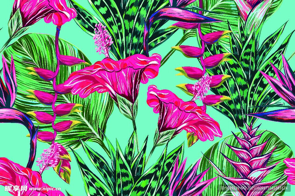 熱帶花卉