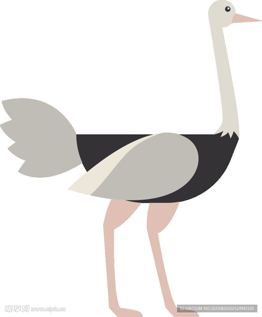 站立的鴕鳥(niǎo)插畫(huà)