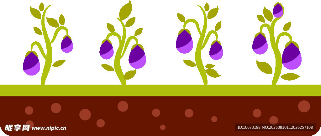 紫色茄子植株插畫