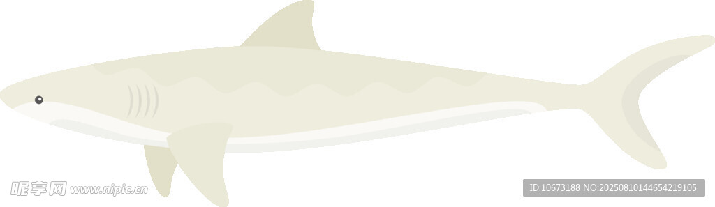 簡(jiǎn)約風(fēng)格的白色鯊魚(yú)圖案