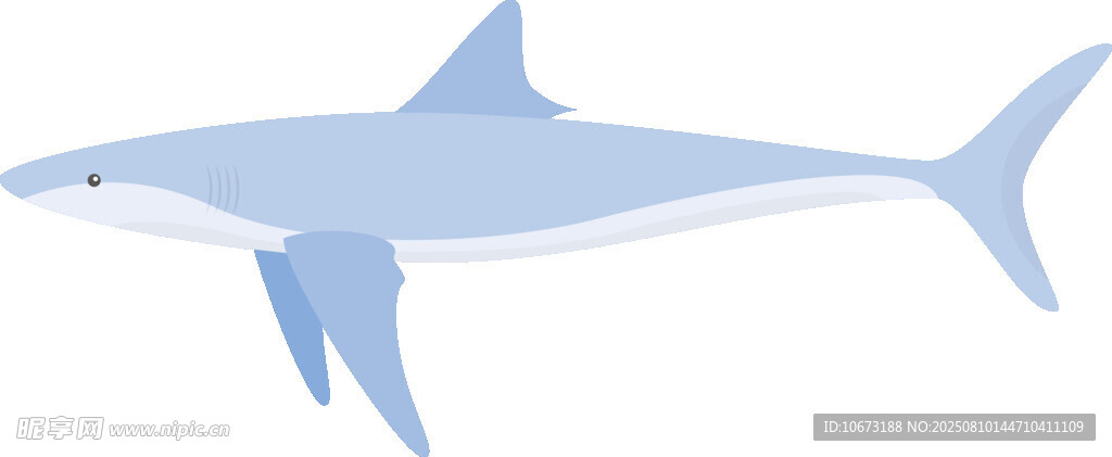 藍(lán)色鯊魚(yú)插畫(huà)