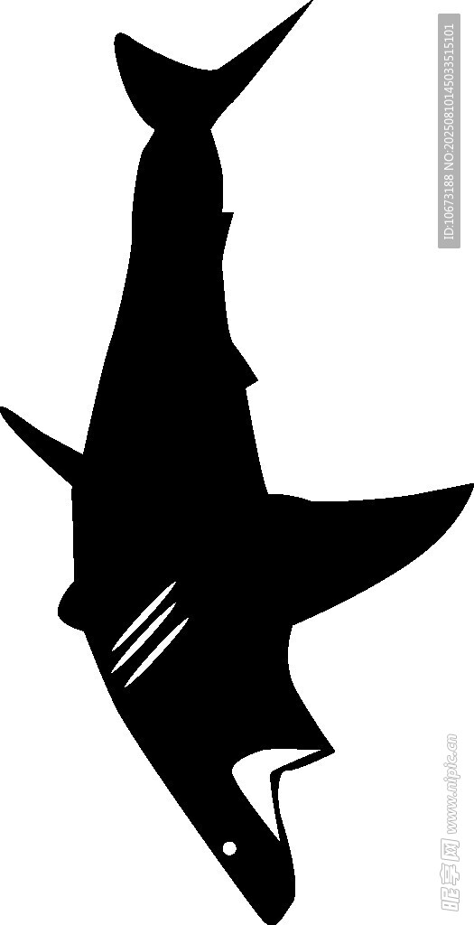 鯊魚(yú)剪影