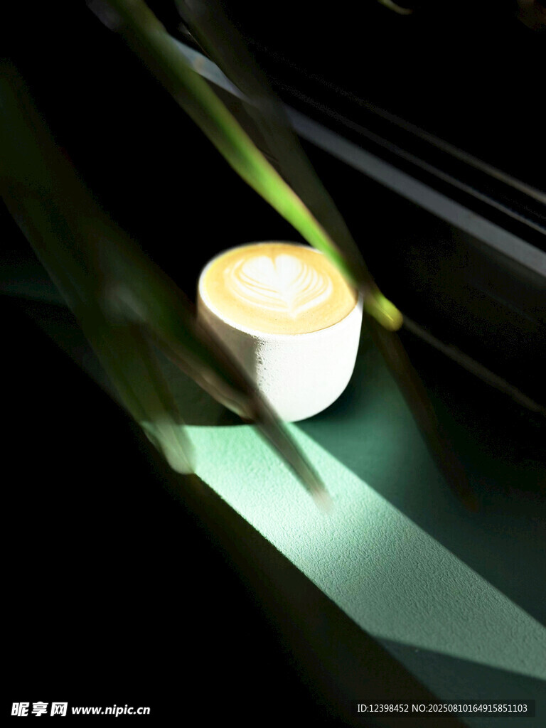 微光中的蠟燭與綠植