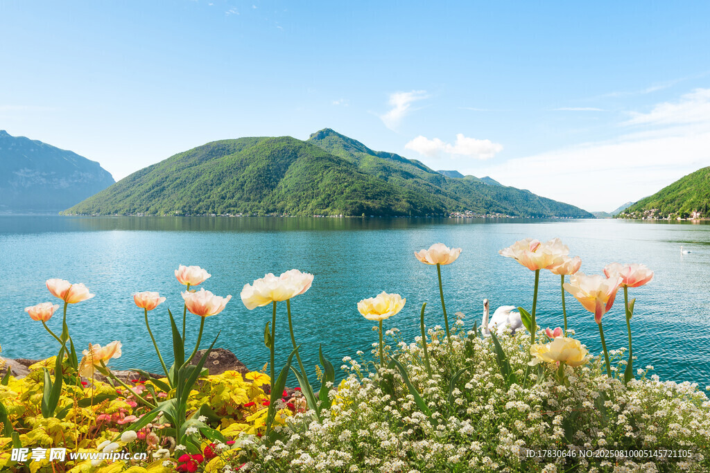 湖畔繁花與遠(yuǎn)山美景