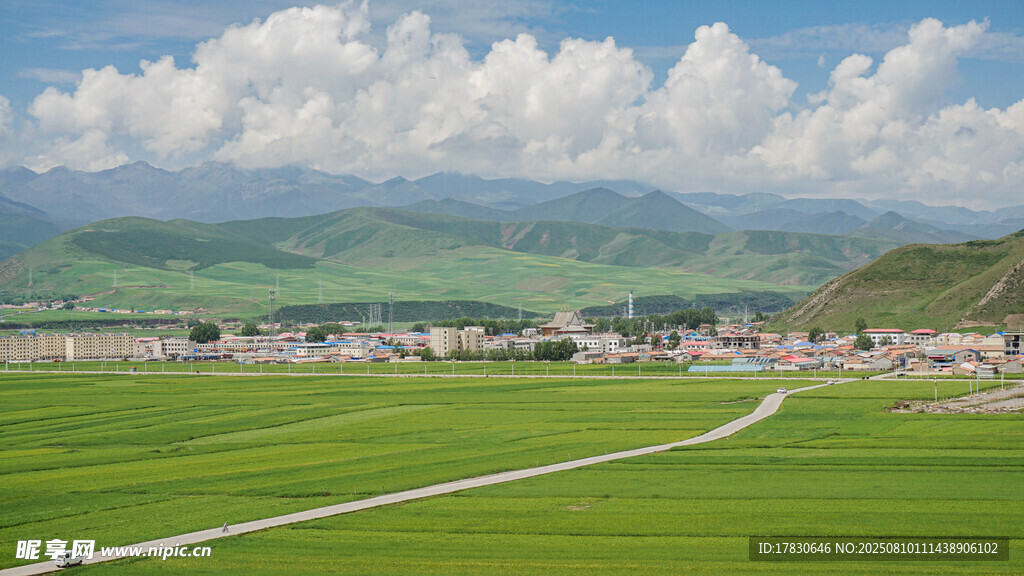 青海門(mén)源田園風(fēng)光