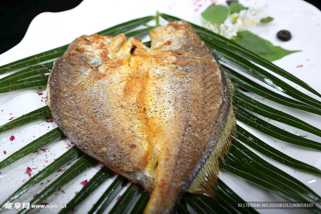 香煎金黃鯧魚擺于綠葉上