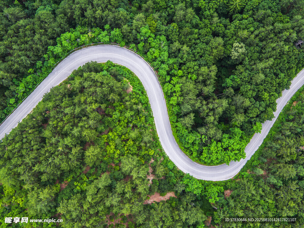 蜿蜒公路穿行翠綠山林