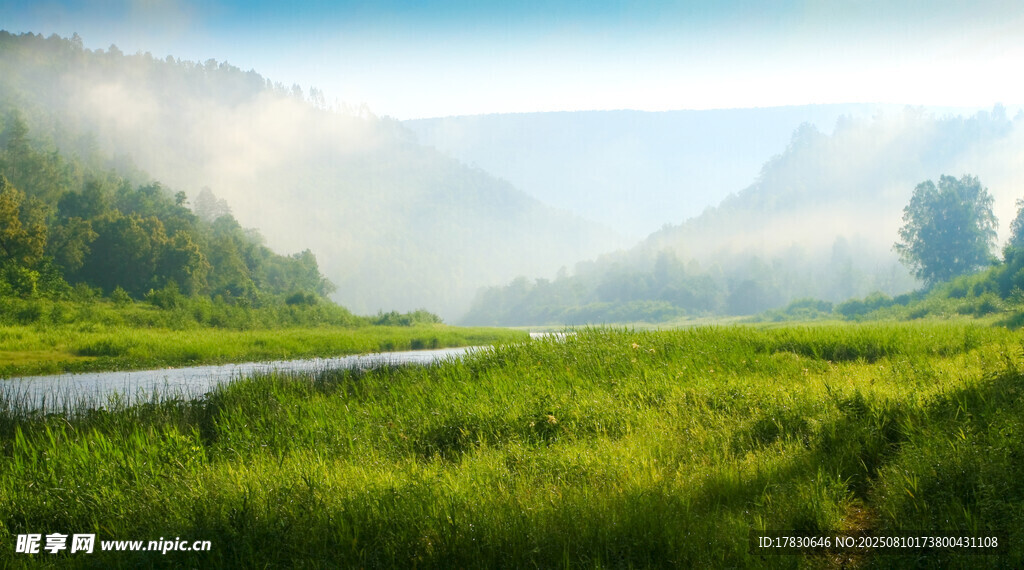 綠野溪流間的清新自然景