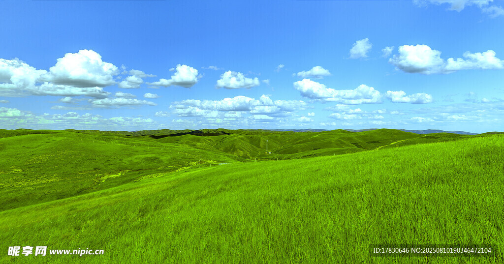 夏季內(nèi)蒙古大草原景觀
