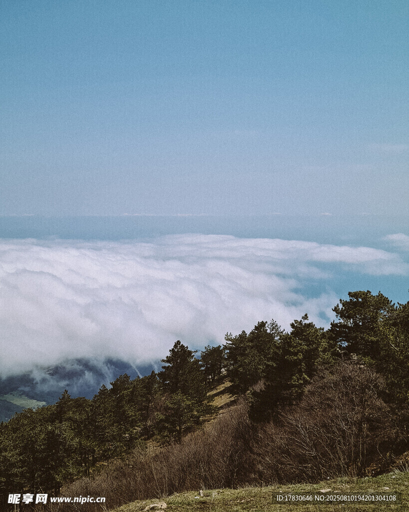 山巔云海景觀
