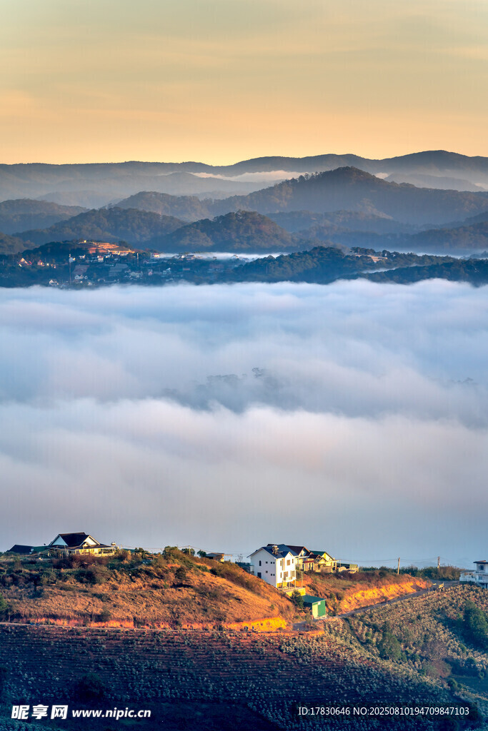 山間云海中的美麗景致