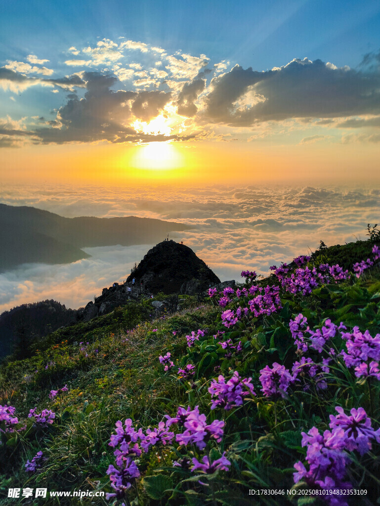 日出下花海美景
