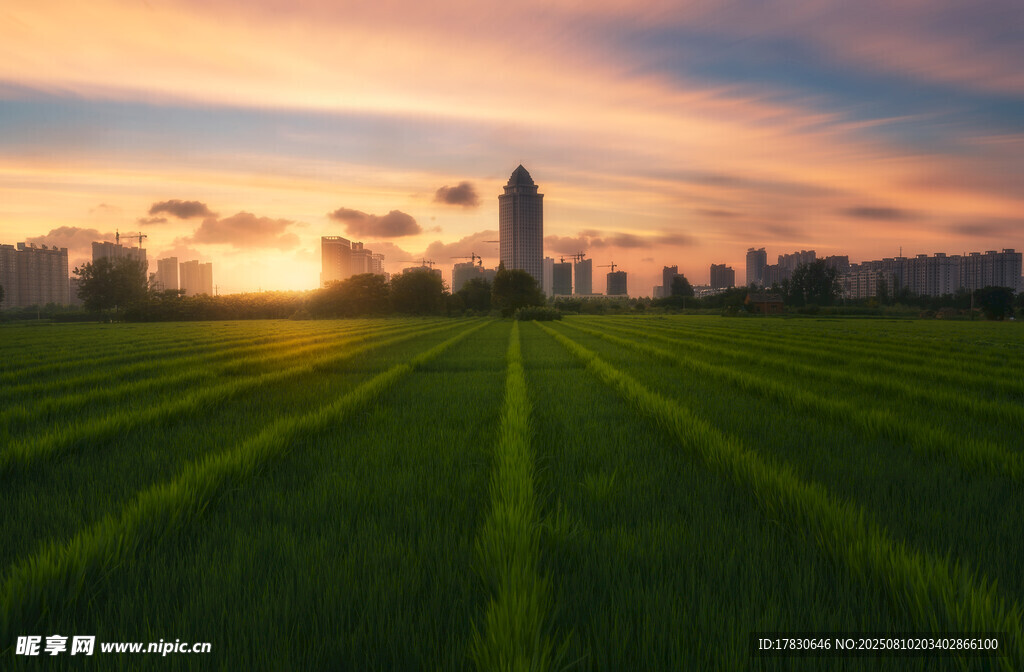 夕陽下的城市與田野景觀