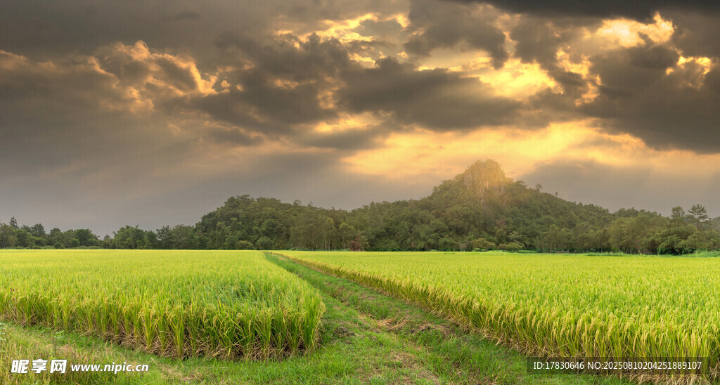 田園黃昏美景