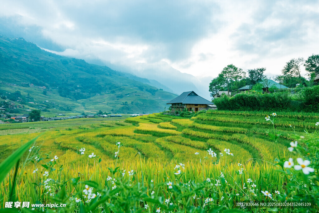 山間梯田美景
