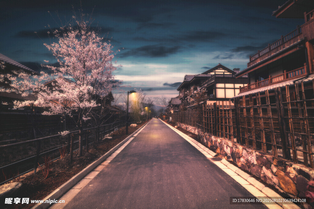 櫻花小路