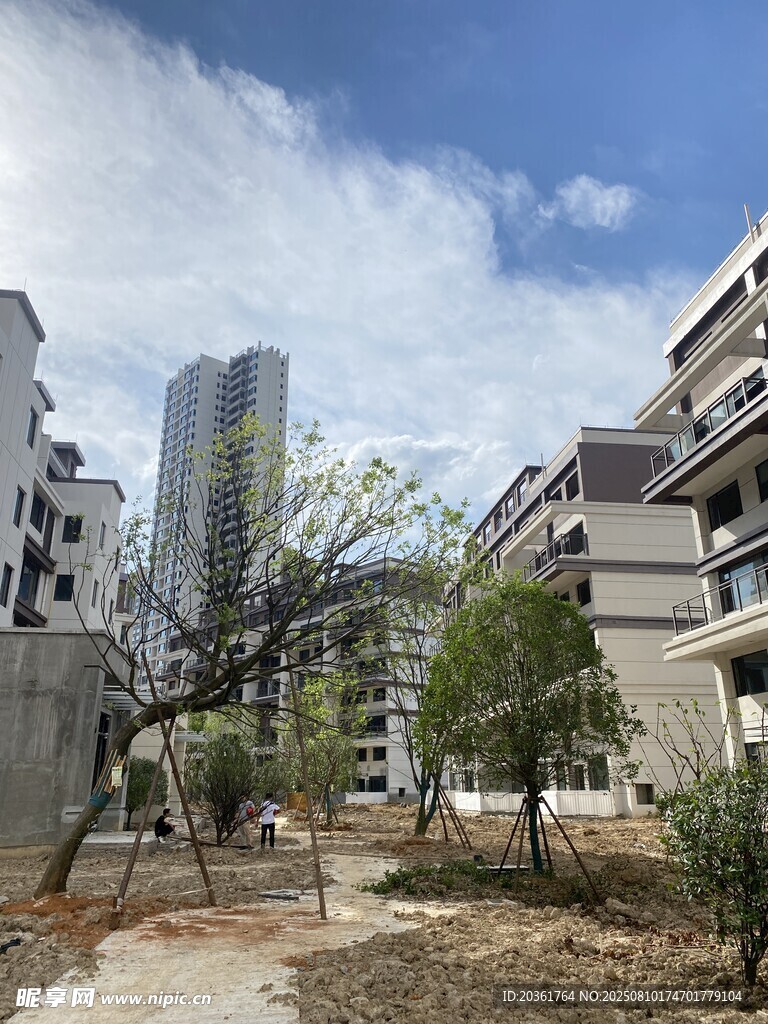 小區(qū)內(nèi)的綠化景觀