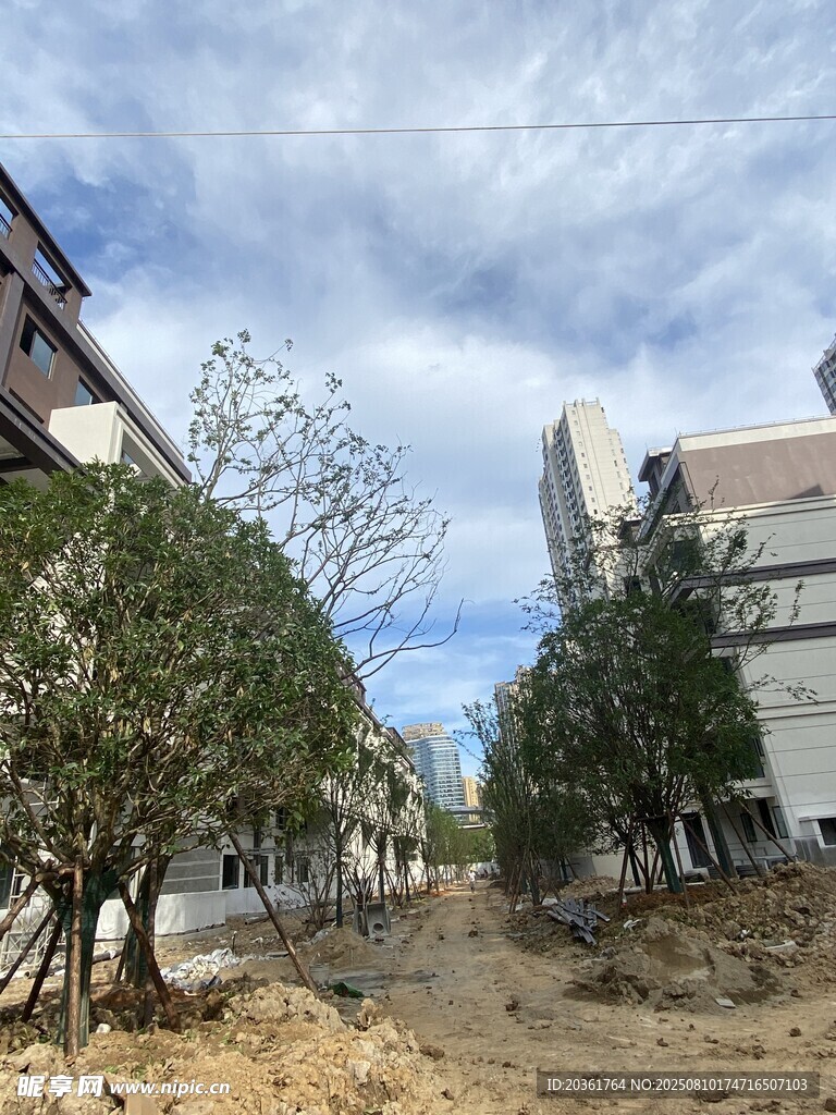 新建道路旁的樹木與建筑