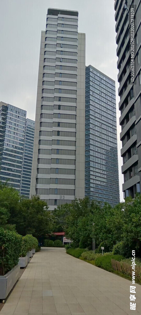 城市高樓旁的林蔭小徑