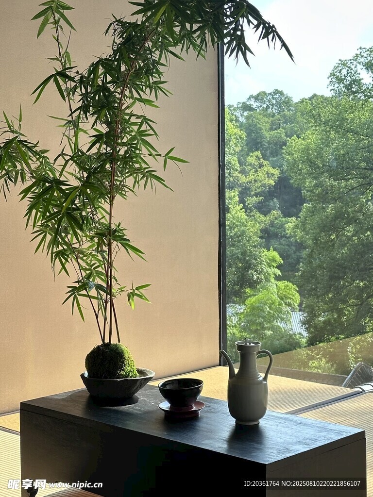窗邊中式禪意盆栽小景