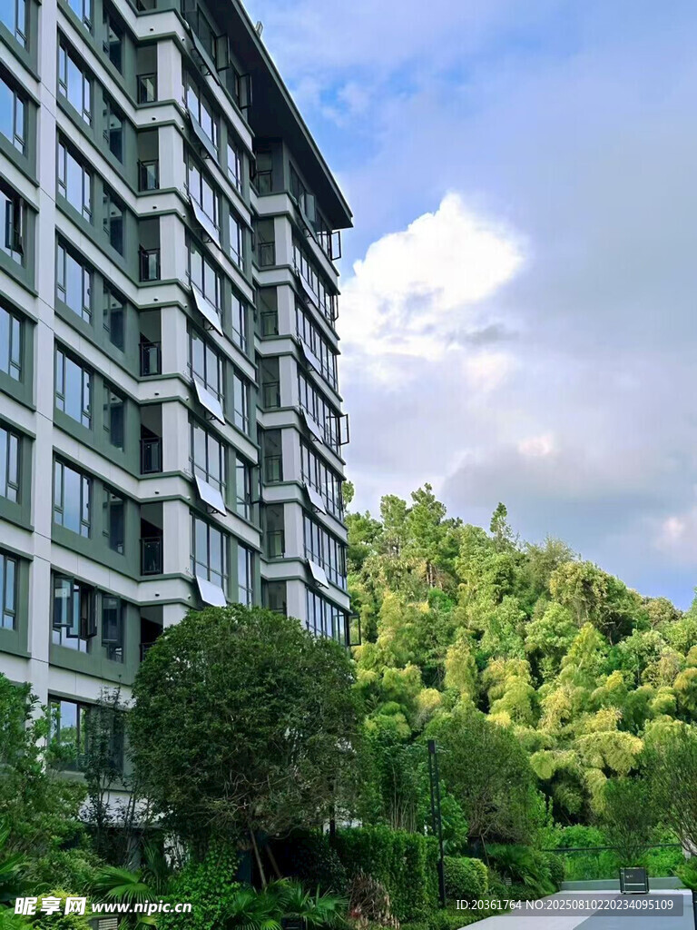 山林旁的現(xiàn)代高層住宅
