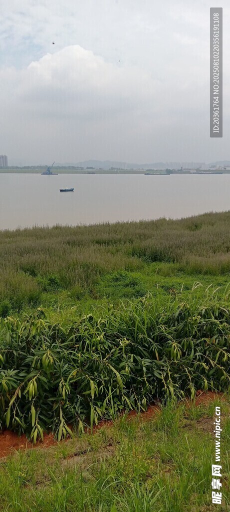田野旁的水域風(fēng)景