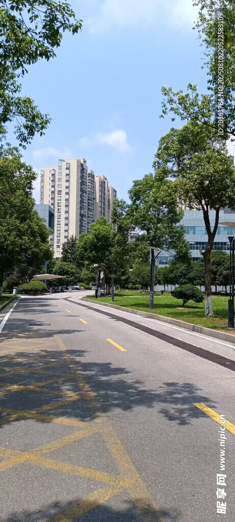 城市中的寬闊林蔭道路