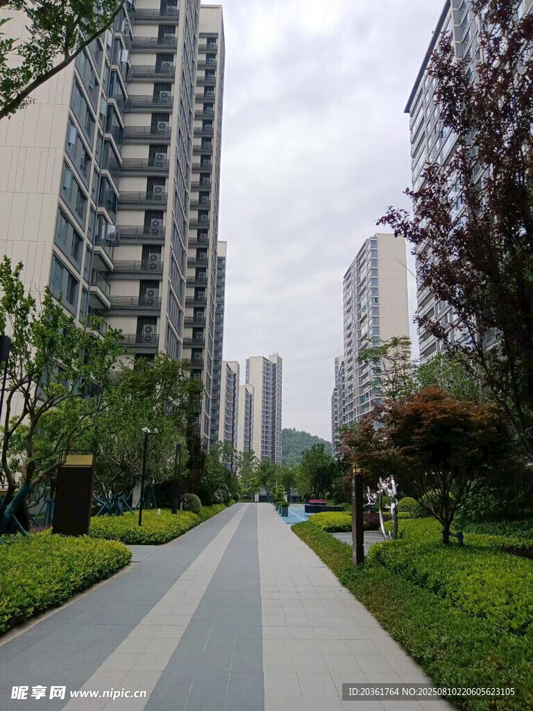 城市中寧靜的林蔭住宅區(qū)