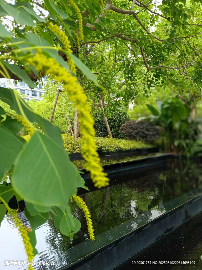 池塘邊繁茂綠植與黃色花