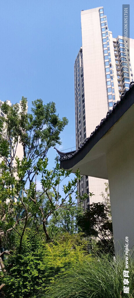 城市高樓與綠植景觀