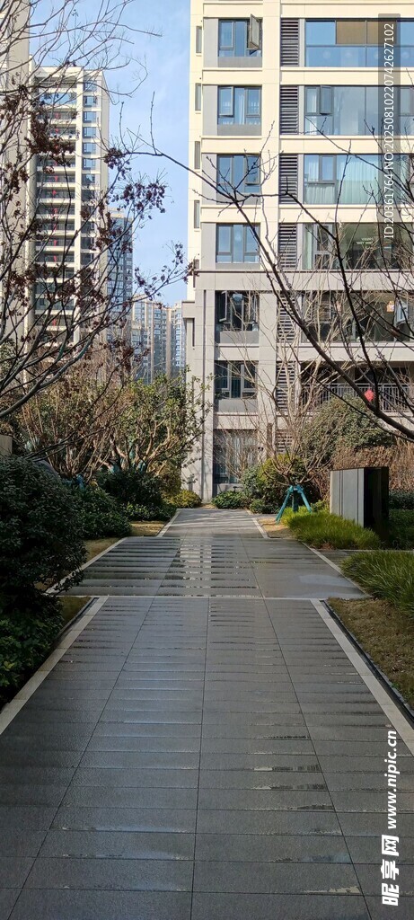 城市中靜謐的林蔭步道