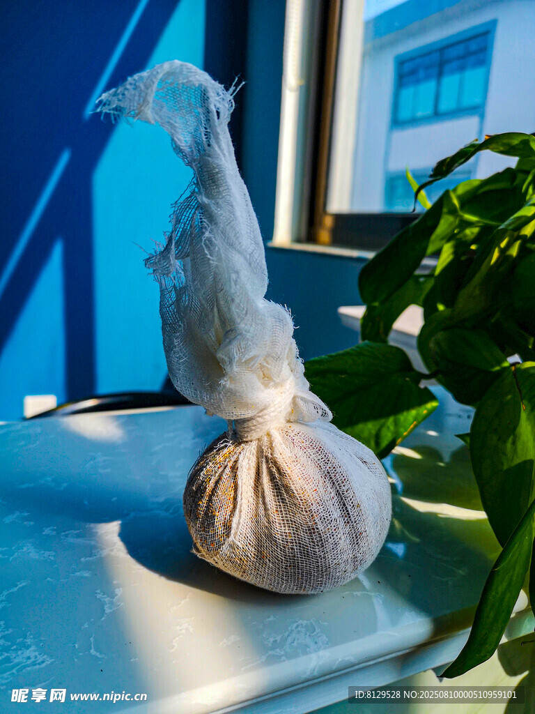 窗邊大蒜與綠植的靜物組合