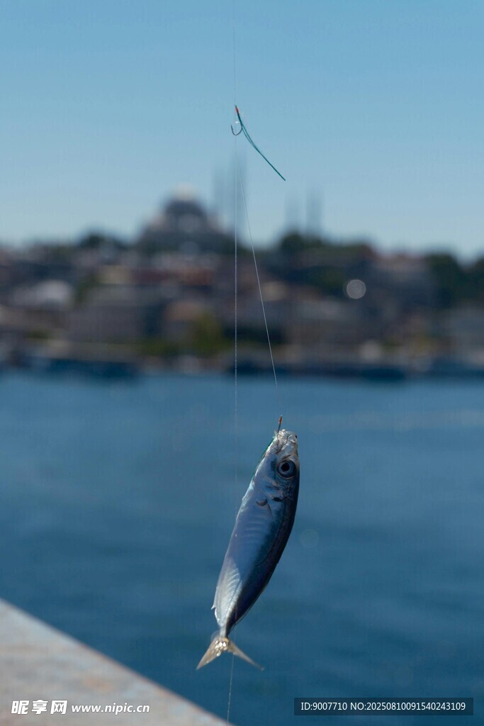 懸于空中的銀色小魚(yú)