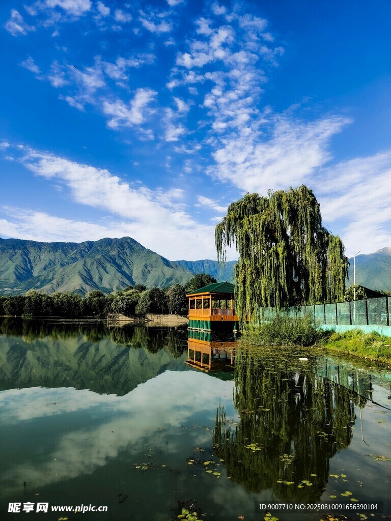 湖畔垂柳映藍天山水景