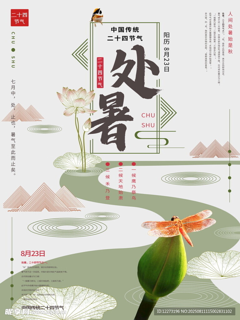 處暑時節(jié)荷塘美景